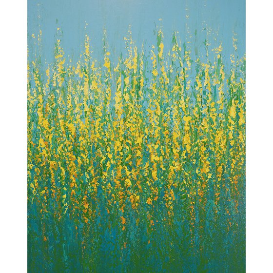 Yellow Flowers - Flower Field