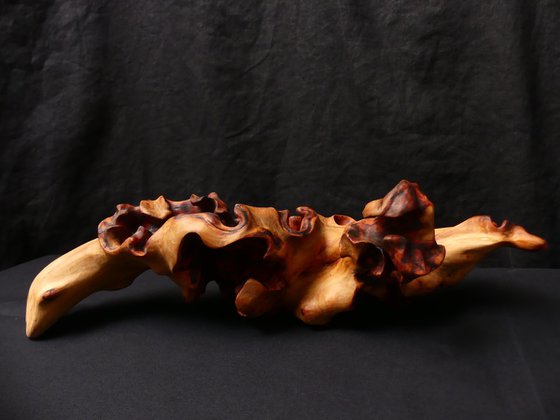 Emerging Phoenix No.2 (2025)