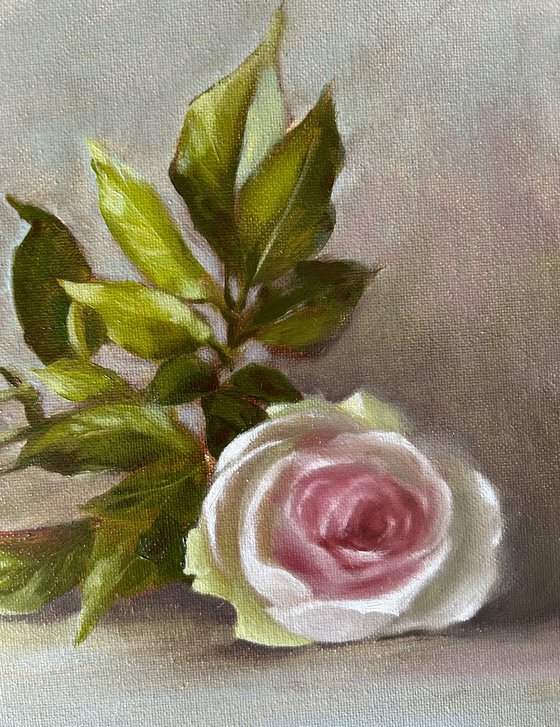 Pink rose