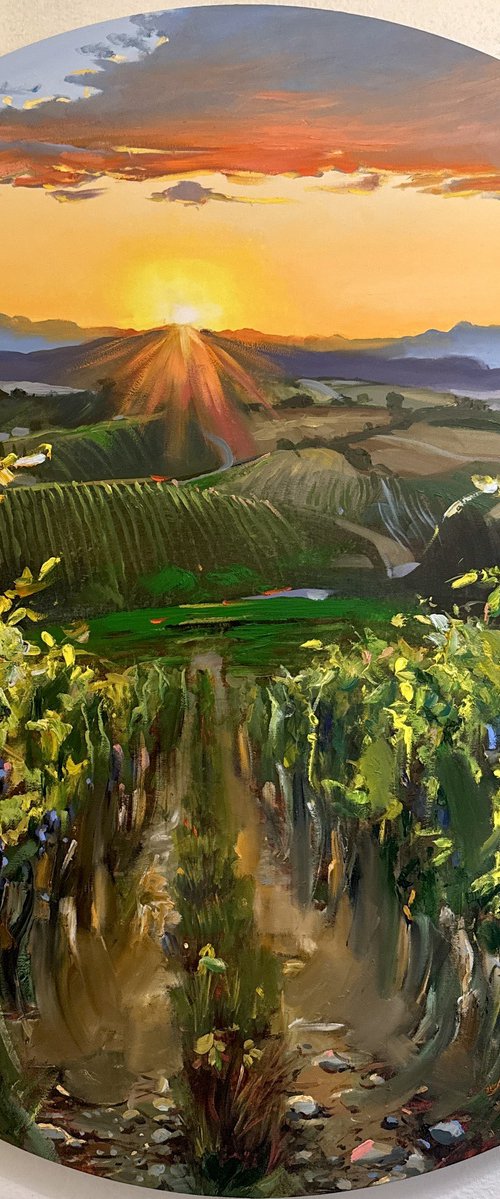 Morning of Tuscany by Olena Hromova