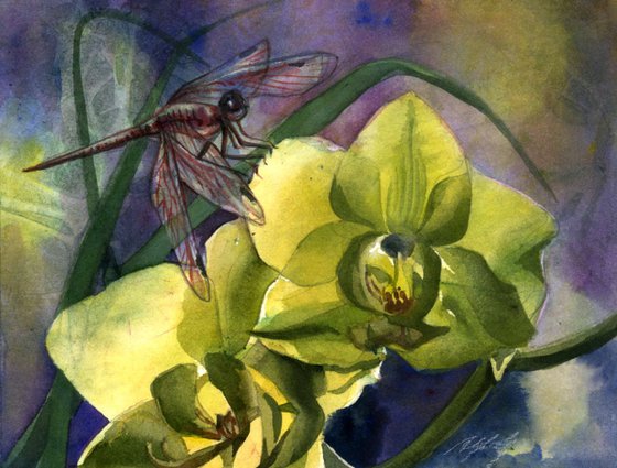 Red dragonfly with orchid