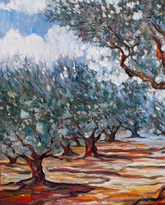 Olive Grove