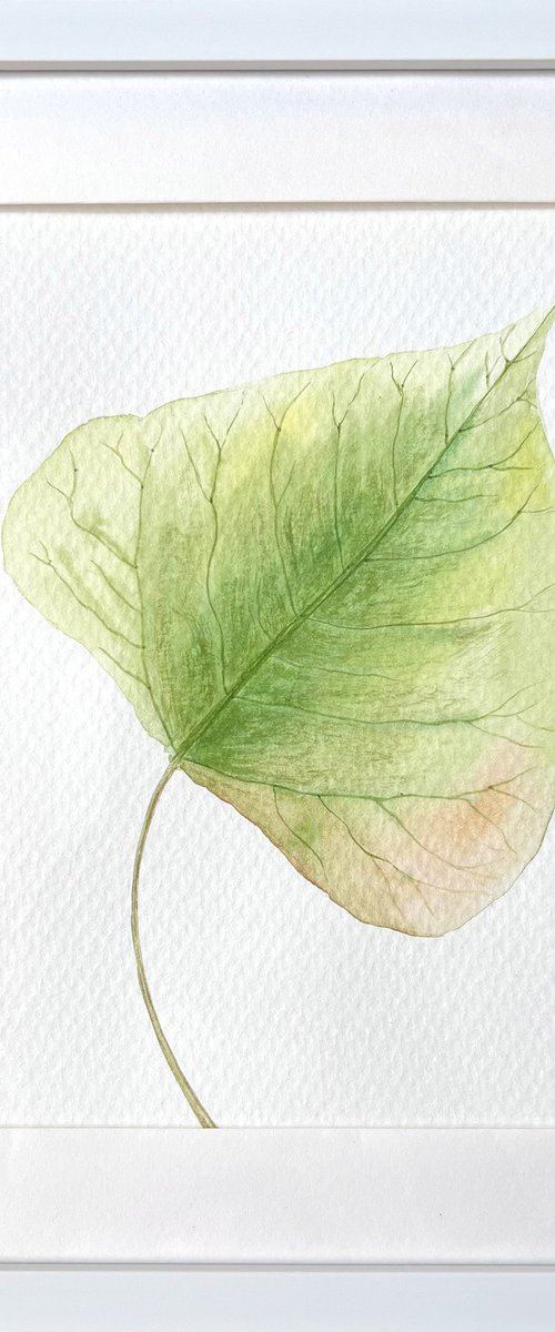 Autumn leaf Sketch #5 by Tetiana Kovalova