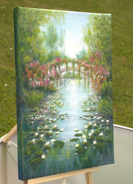 Water lily pond