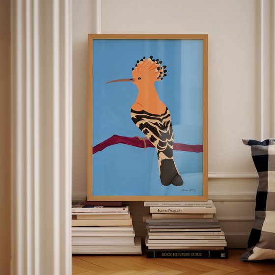 Hoopoe