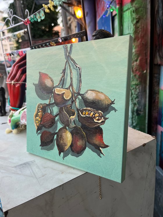 Seeds of Hidden Stories