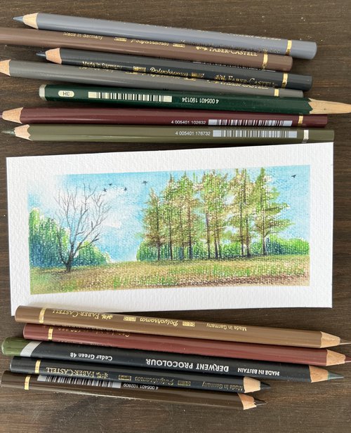 At the edge of the forest. Miniature forest landscape. Original artwork. by Evgeniya Mokeeva