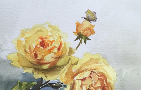 Roses and butterfly
