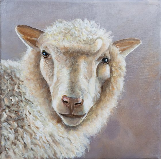 Sheep