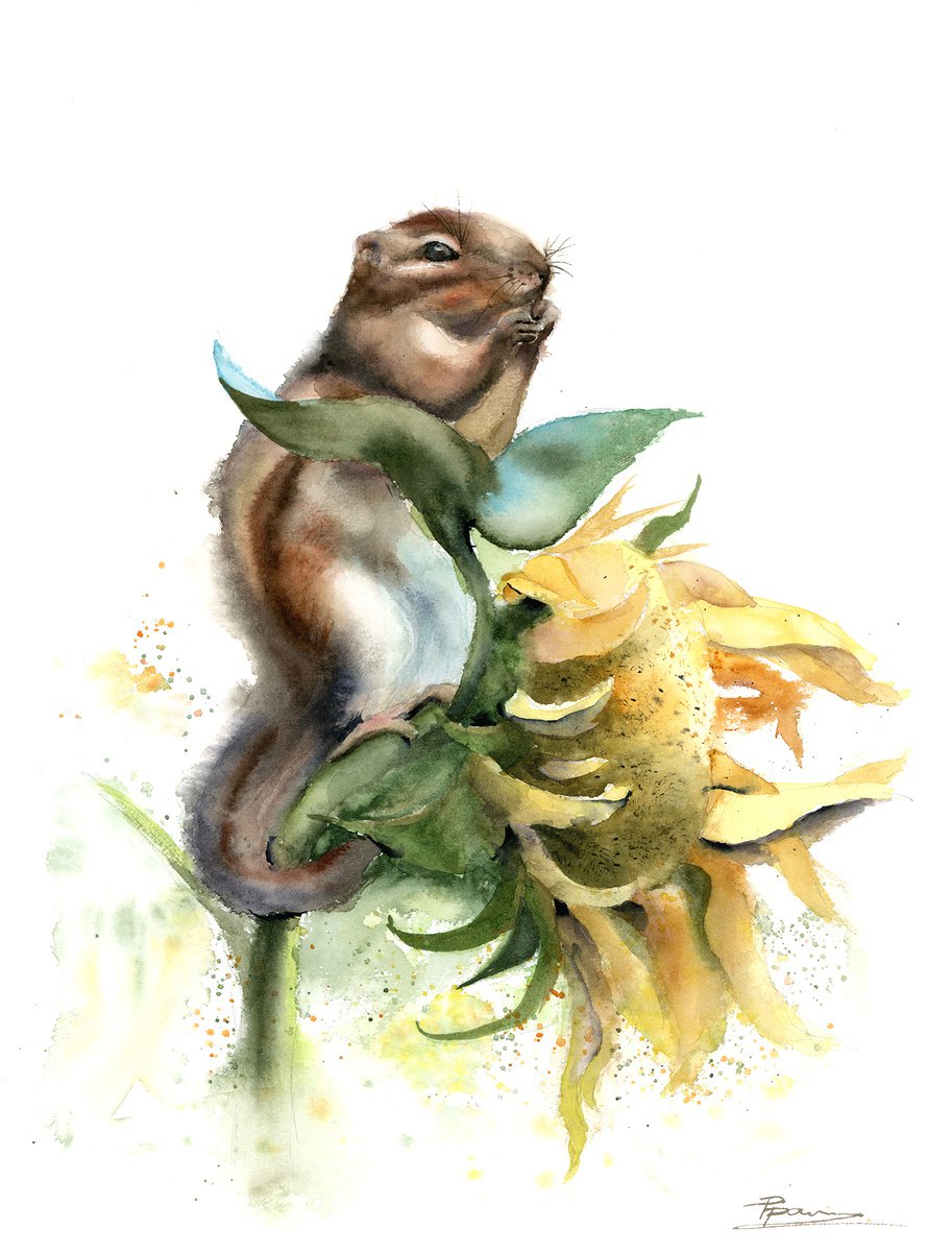 Chipmunk and Sunflower by Olga Shefranov (Tchefranova)