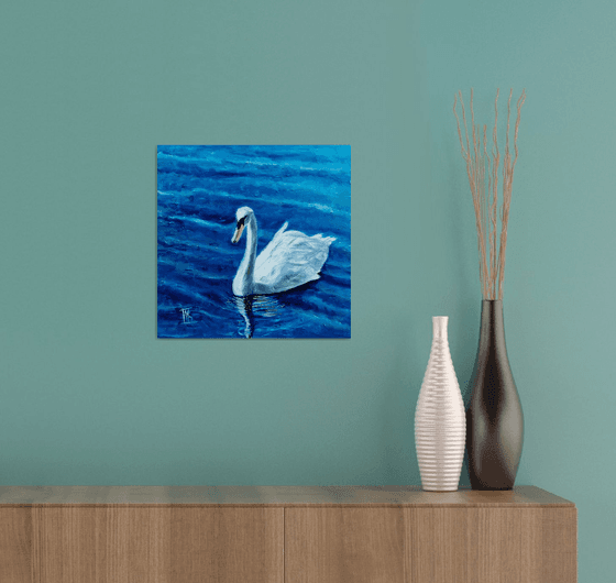 Swan and blue water