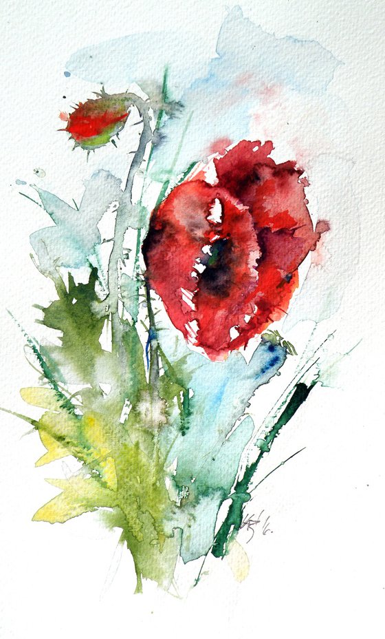 Little poppy II