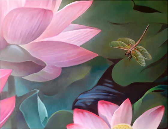 LOTUSES