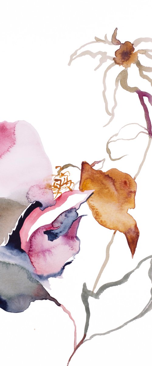 Rose Study No. 53 by Elizabeth Becker