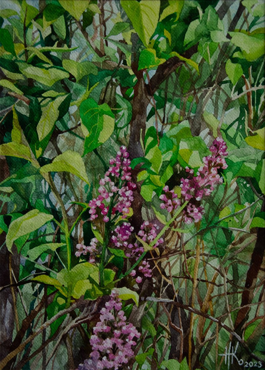 Impressionistic Botanical Watercolour By Zhanna Kondratenko, 12 X 16", Lilac Buds, Original Artwork