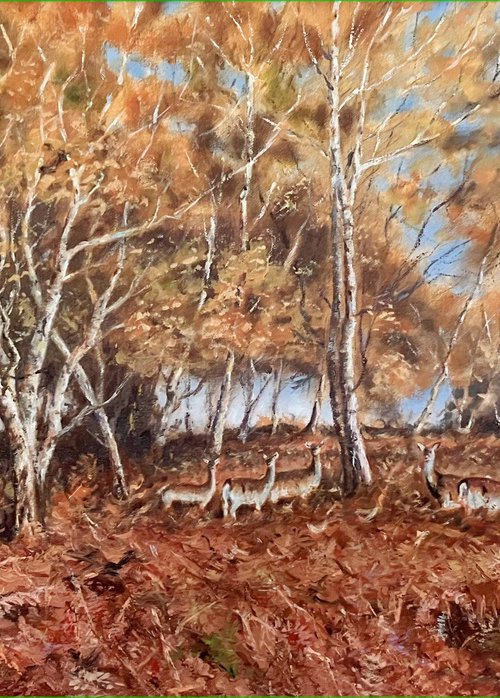 Fallow Deer Under Birch Trees by Peter Frost