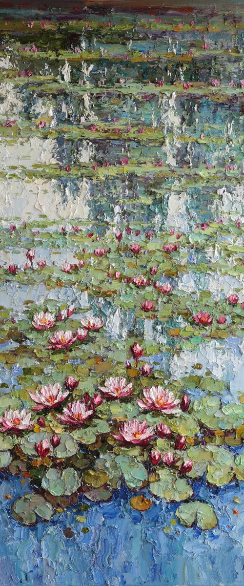 Pink Water Lilies in Bloom by Anastasiia Valiulina