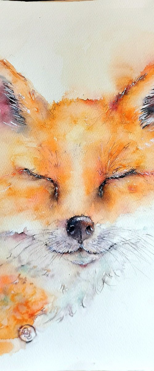 Fox by Sveta Hubmann