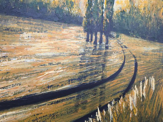 Autumn Illuminations