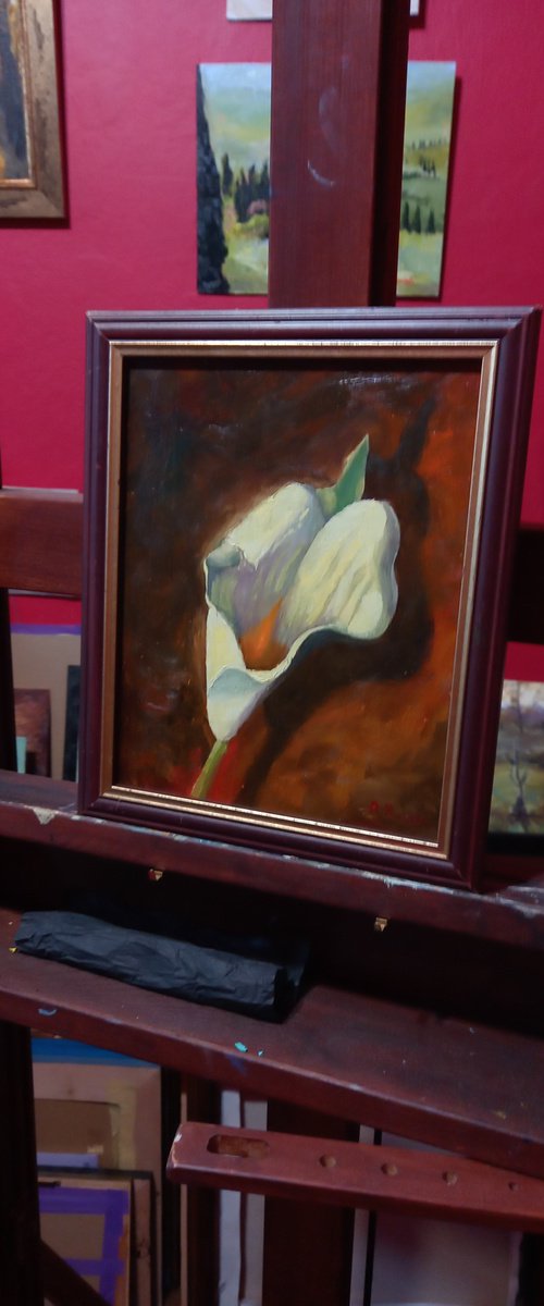 Kalla Lilly by Andrea Bocedi