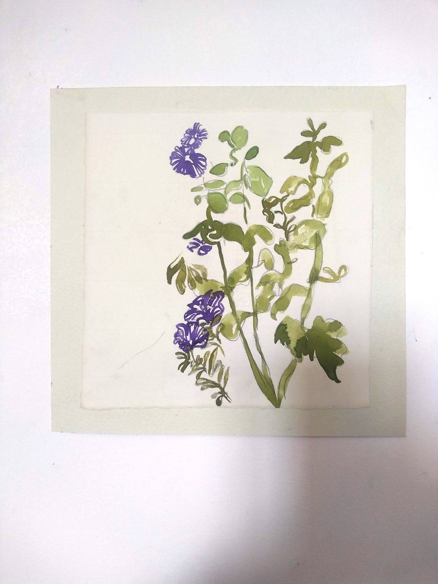Purple floral sketch by Hannah Clark