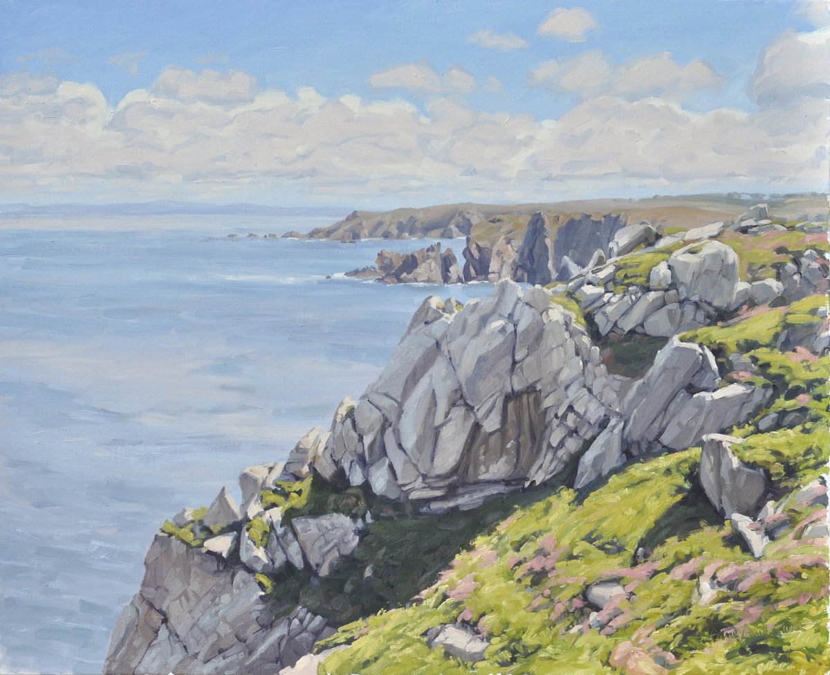 Cliffs at the Cap Sizun by ANNE BAUDEQUIN