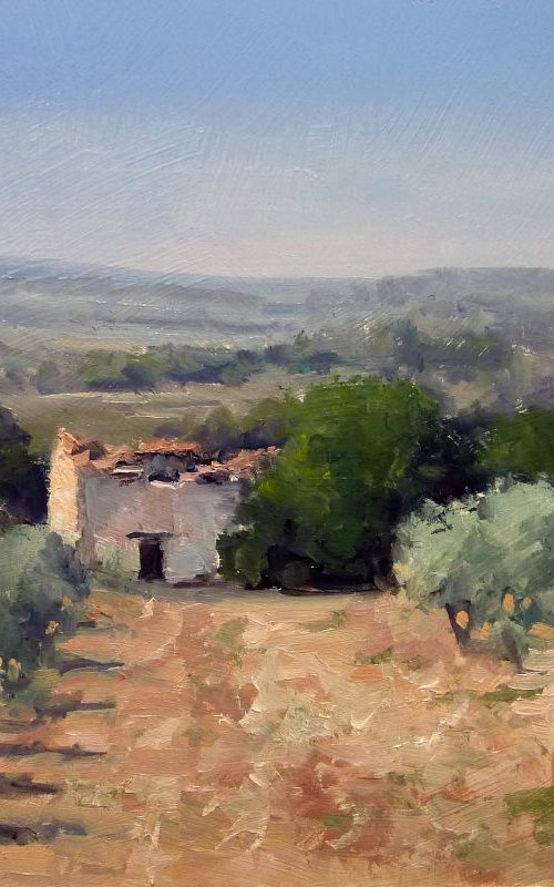 Shed and Olive Trees by Pascal Giroud