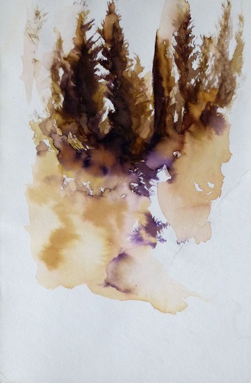 Pine Wood Study 9, 24x16 cm by Frederic Belaubre