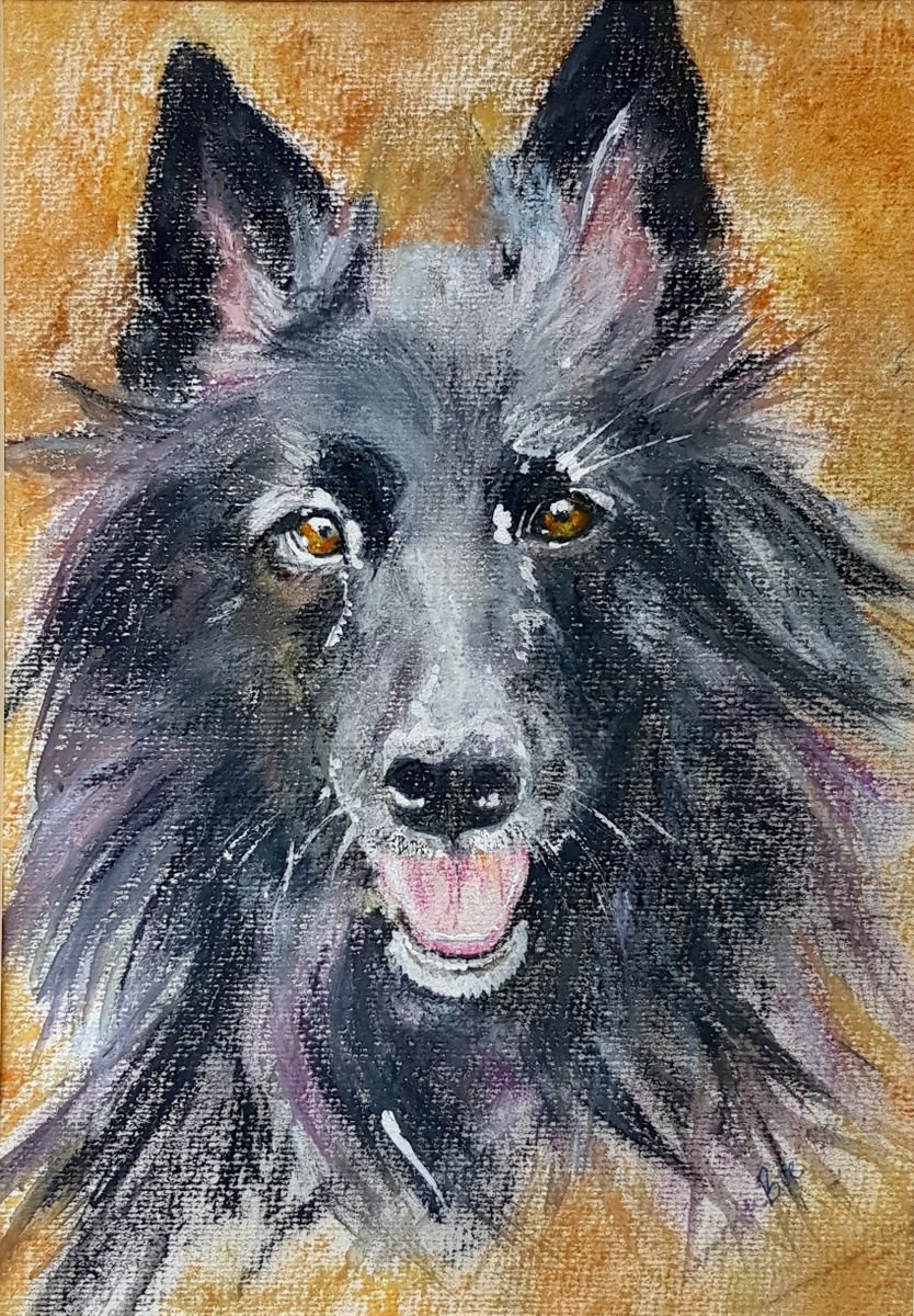 Black Collie 2 by Bee Inch