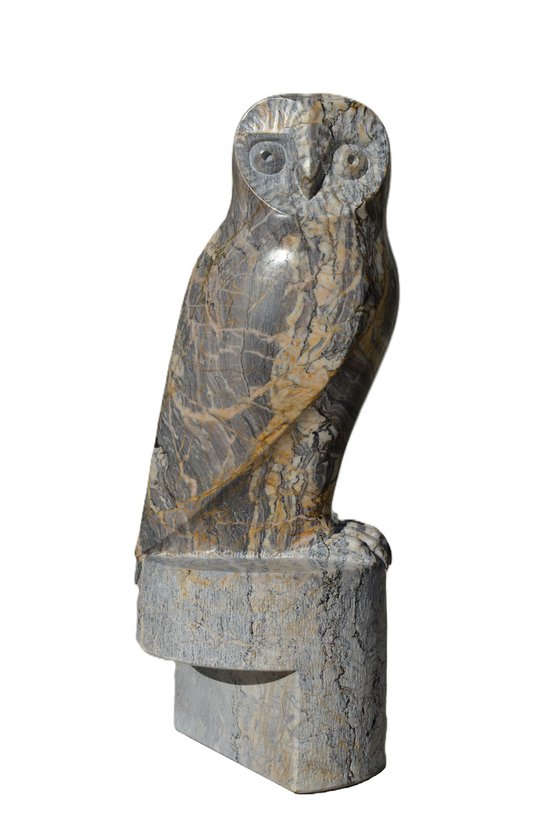 "Owl"