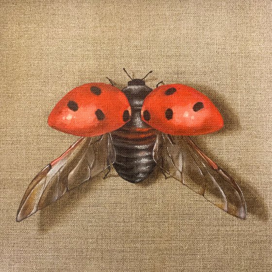 “Ladybug”, work #3 of the “Impermanent life” series