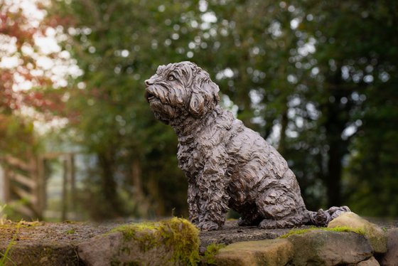 Cavapoo Foundry Bronze Sculpt