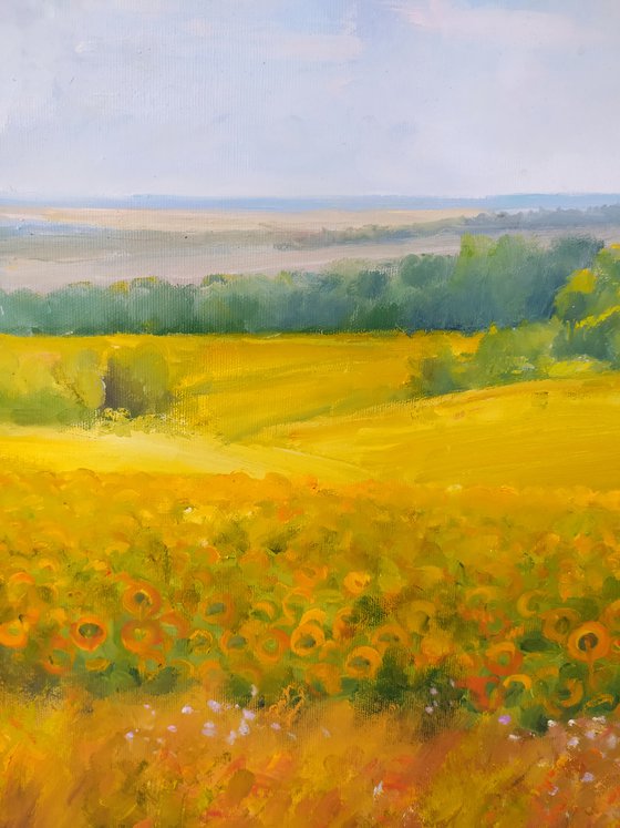 Sunflowers field