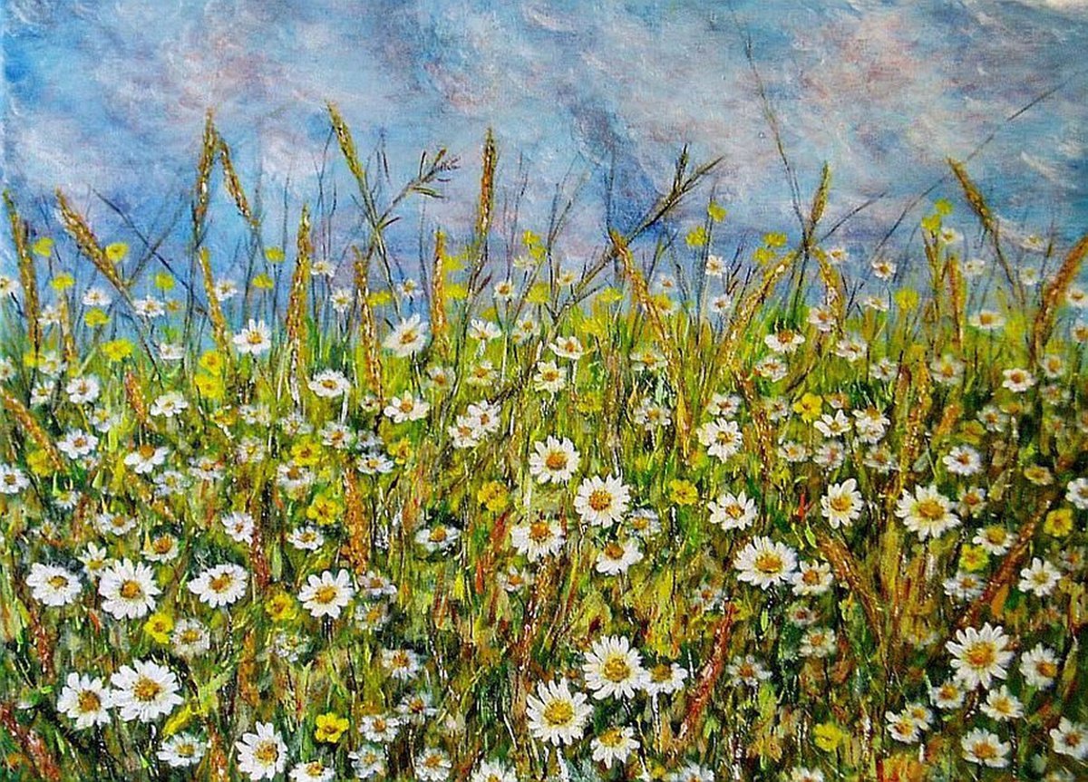 Meadow full of flowers.. by Emilia Urbanikova