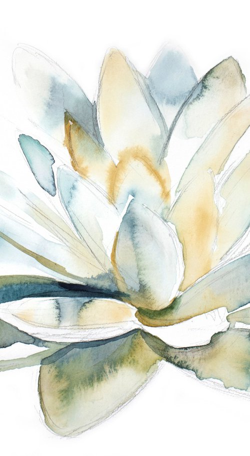 Lotus No. 3 by Elizabeth Becker