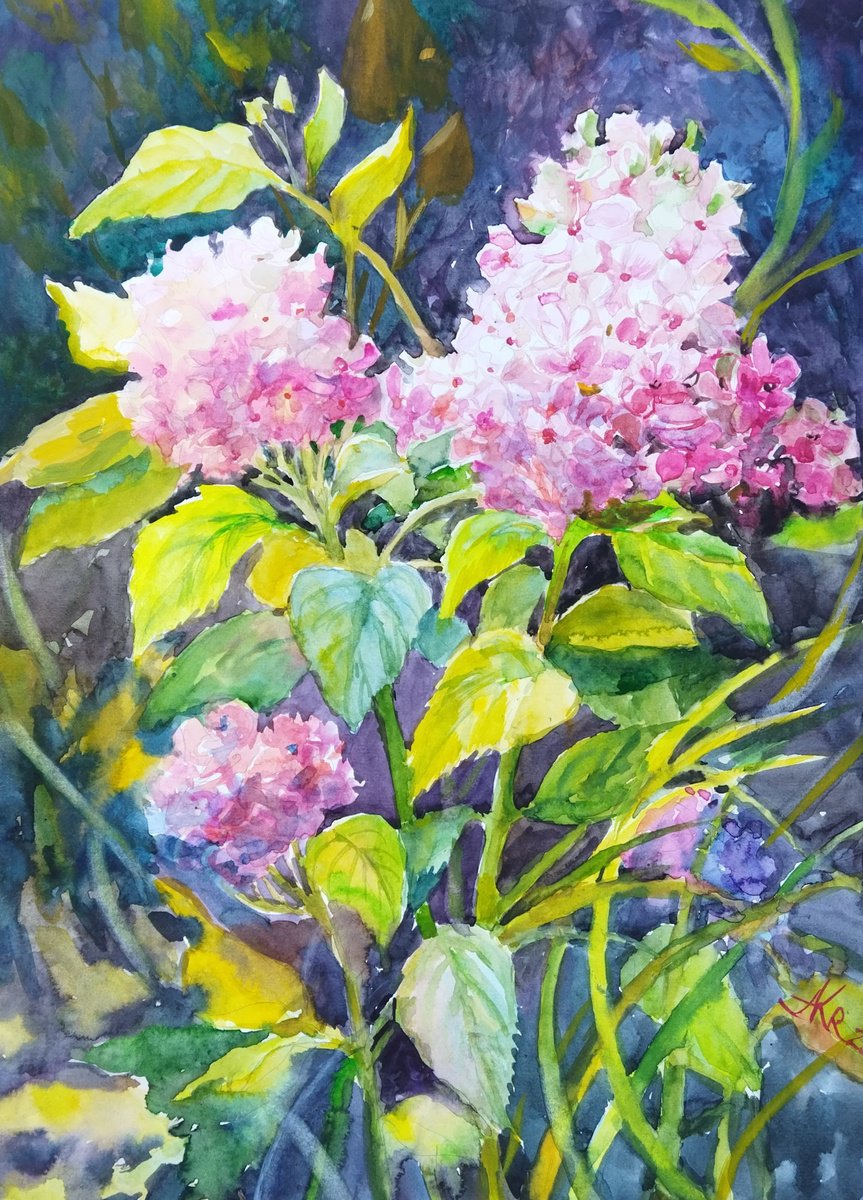 Hydrangeas flowers in autumn garden by Ann Krasikova