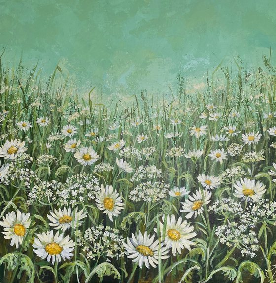 Wild Country   -landscape