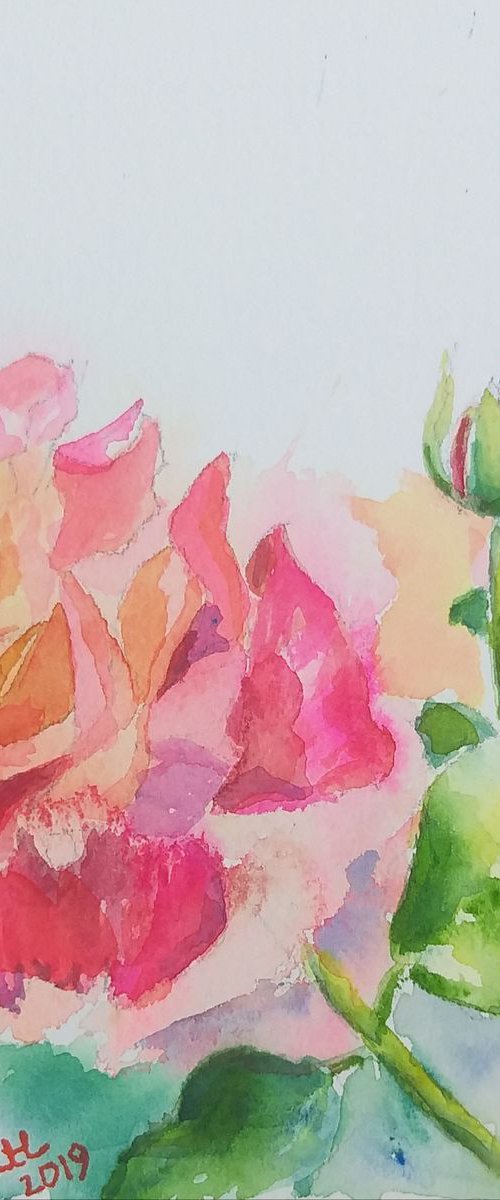 Rose by Geeta Yerra