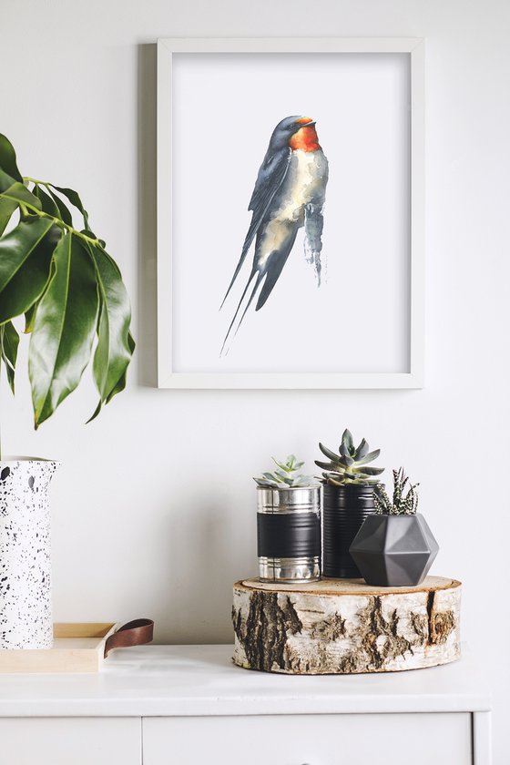 Barn swallow in watercolor