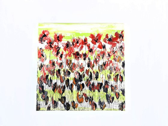 Poppy Flowers 2