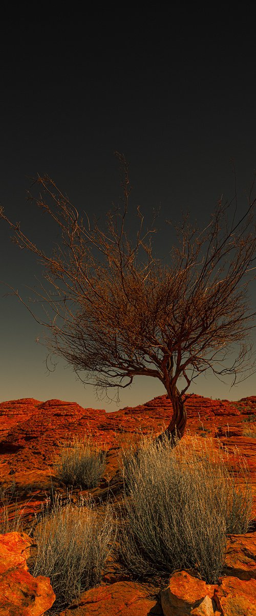 Watarrka Wunggurra by Nick Psomiadis