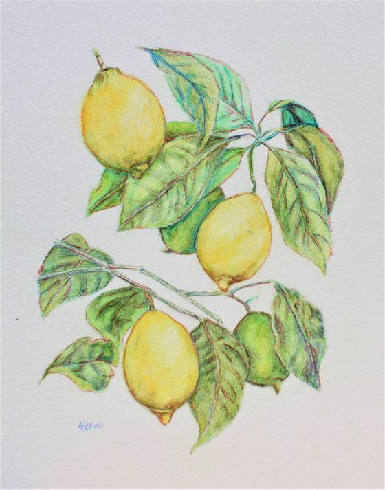 Lemon Tree II
