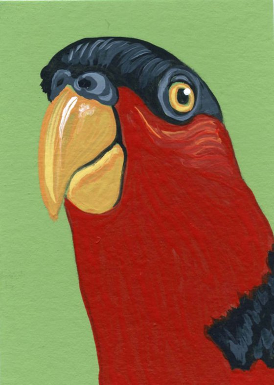 ACEO ATC Original Miniature Painting Indonesian Parrot Pet Bird Art-Carla Smale
