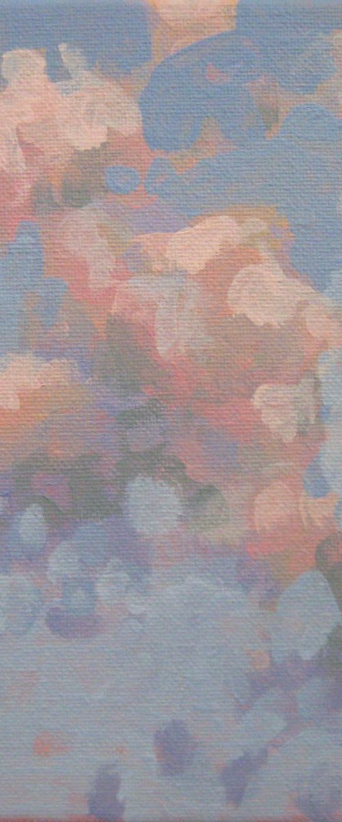 CLOUDS (STUDY 4) by LENKA STASTNA