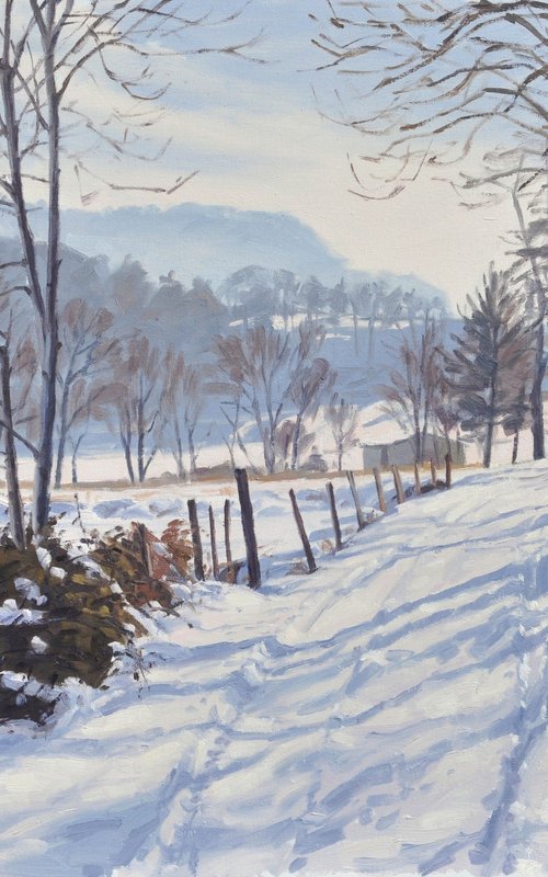 January 7, path in the snow at Saint Vincent by ANNE BAUDEQUIN