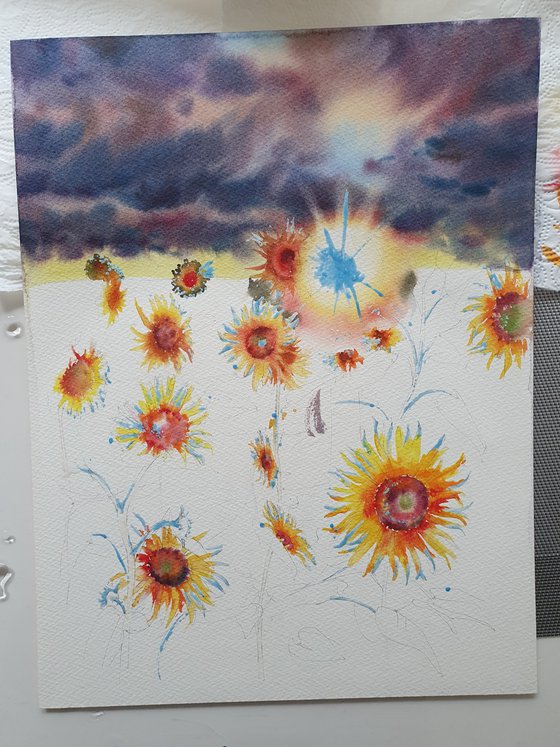 Yellow sunflowers field