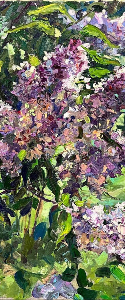 A lilac in the garden by Olha Dashkevych