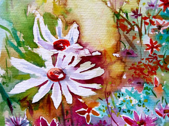 Wildflowers collection