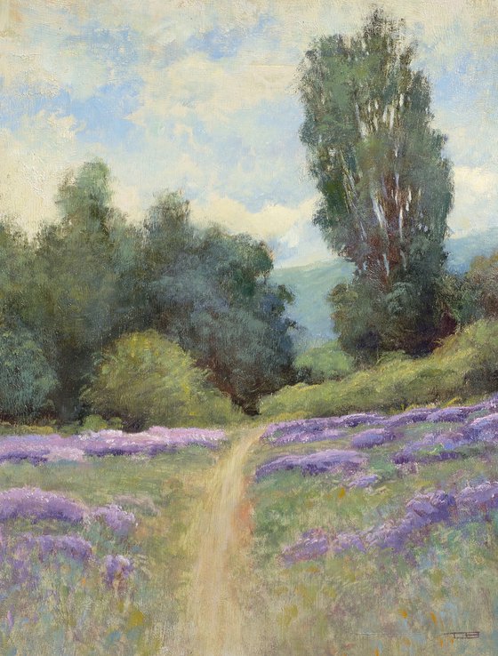 Summer Lavender Field 230911