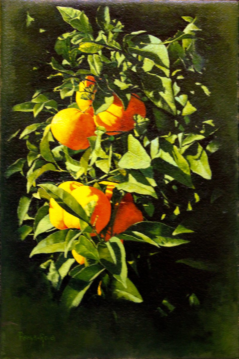 The sun of the orange tree by Vicent Penya-Roja